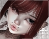 お. lindsay scarlet