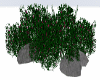 pond rocks + brush  V2