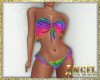 [AIB]Zebra Rainbow Bkini