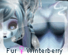 [c4z] F Fur Winterberry