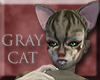 Gray Cat Skin