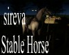 sireva Stable Horse