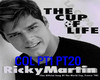 RICKY MARTIN CUP OF LIFE