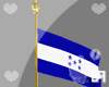 (F) Honduran flag