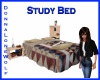 DLW - TH Study Bed