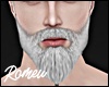 Beard Platinum MH