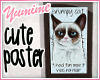 [Y] Grumpy Cat Frame