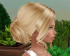 blonde hair up bun