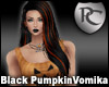 Black Pumpkin Vomika