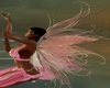Fairy Princess Animation