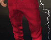 DX Santa Boy Pants