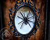 Spider In Frame
