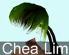 Chea Lim Hair02 04