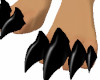hoof