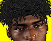 ♋ Curly Black Fade