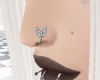 \\\butterfly/// drv