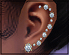 (L) Diamond Earrings