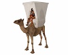 Arabic Canopy Camel