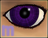 Conceited Eyes