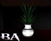 (BA) White Vase Plant