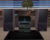 house stereo radio
