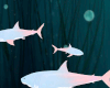 [W] Pastel Sharks e
