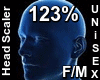 F/M Head Scaler 123%