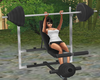 Gym Hvvy Weight Bench 