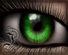 Deep Eyes | Emerald uni