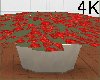4K Potted Plant