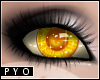 PYO| Glitter gold