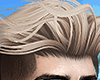 ♛ Hotate Blonde.