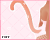 𝓟. Peach Neko Tail