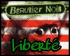 Bérurier Noir