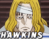 HAWKINS | Hair 2 of 2