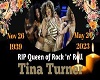 Tribute To Tina Turner