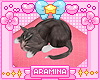A•Kitty [Pink Bed]