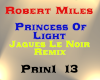 Robert Miles - Princess