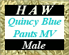 Quincy Blue Pants MV