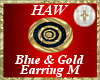 Blue & Gold Earring M