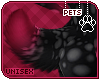 [Pets] Ziro | tail v4