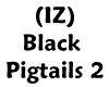 (IZ) Black Pigtails 2