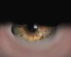 Eye Castanho Claco