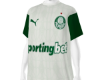 ⚽ Palmeiras 2025 ⚽