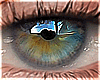 Eyes | Dark Blue Green