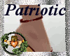~QI~ Patriotic Wedges R