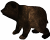 Bear Cub ANIMATED