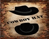 Cowboy Hat II