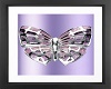 Purple Butterfly Pic 1