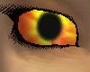Sunburst Female eyes